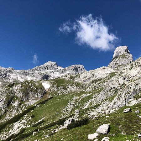 Alpendomizil II Apartamento Mühlbach am Hochkönig Exterior foto